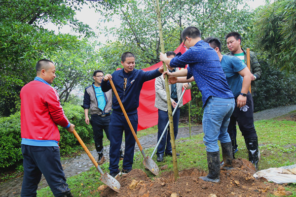 图二：：：种树众人扶.jpg
