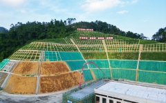 thumb_240_150_20241008095836790