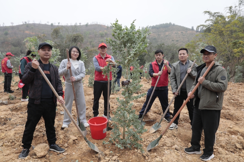 新宝GG—创立事业平台