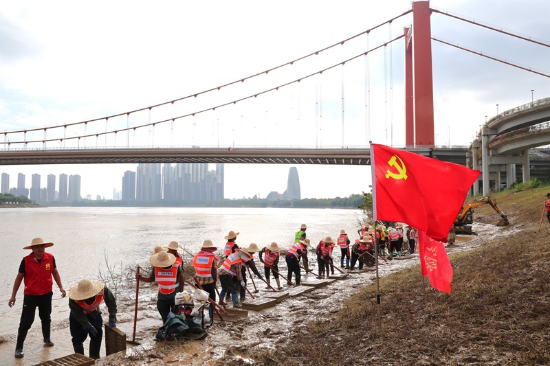 新宝GG—创立事业平台